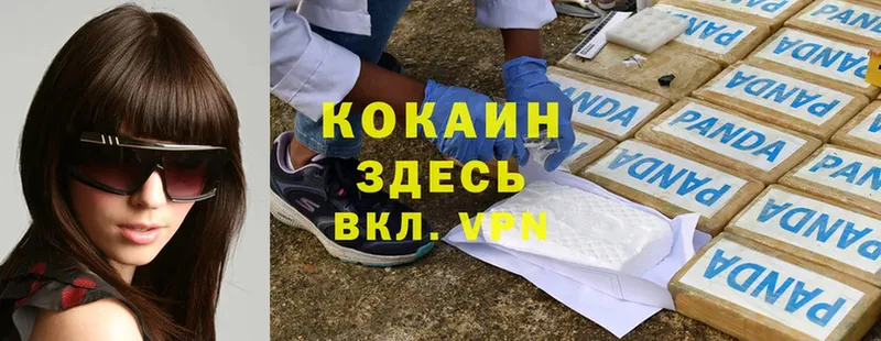 Cocaine Эквадор  Кувшиново 