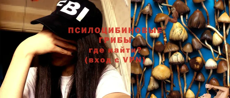 Галлюциногенные грибы Magic Shrooms  где найти   OMG маркетплейс  Кувшиново 